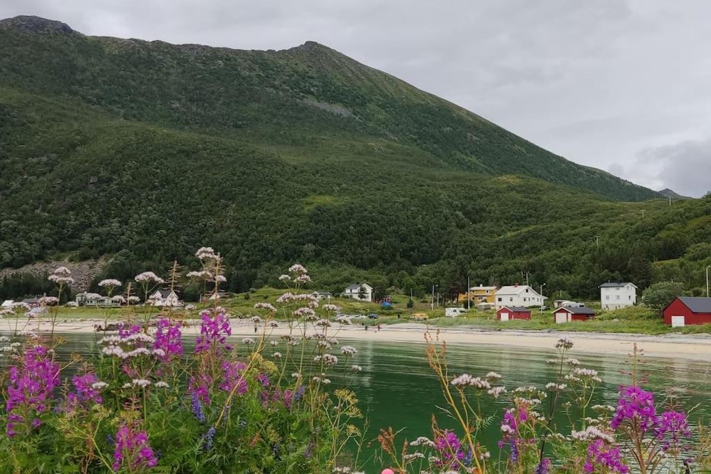 Norwegian House Maria Stua Apartment Mefjordvaer Luaran gambar